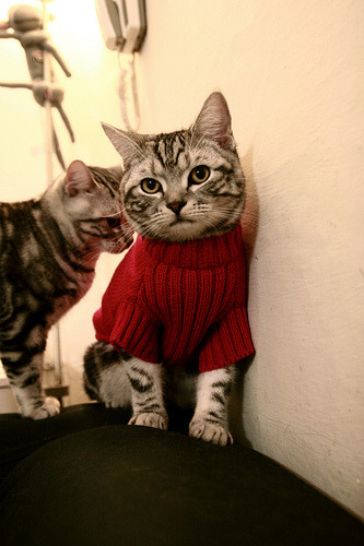 开云体育-生死战！土耳其的泪，红牛冲线